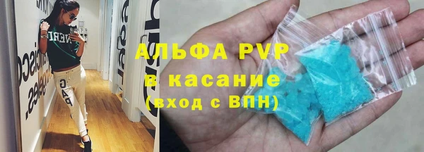 сатива Аркадак