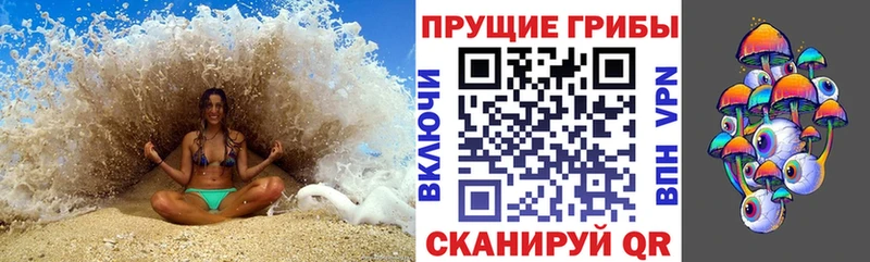 Псилоцибиновые грибы ЛСД  shop клад  Можга 