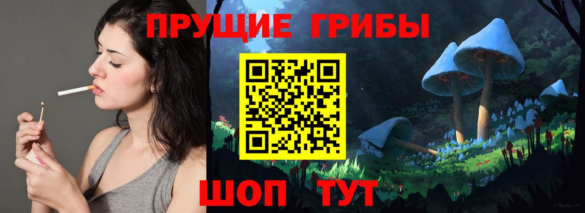 Галлюциногенные грибы Psilocybe  где продают   Псилоцибиновые грибы мицелий  Можга  Вход с VPN 